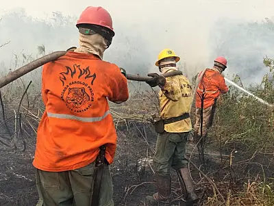 Nova campanha busca recursos para manter Brigada Alto Pantanal ativa