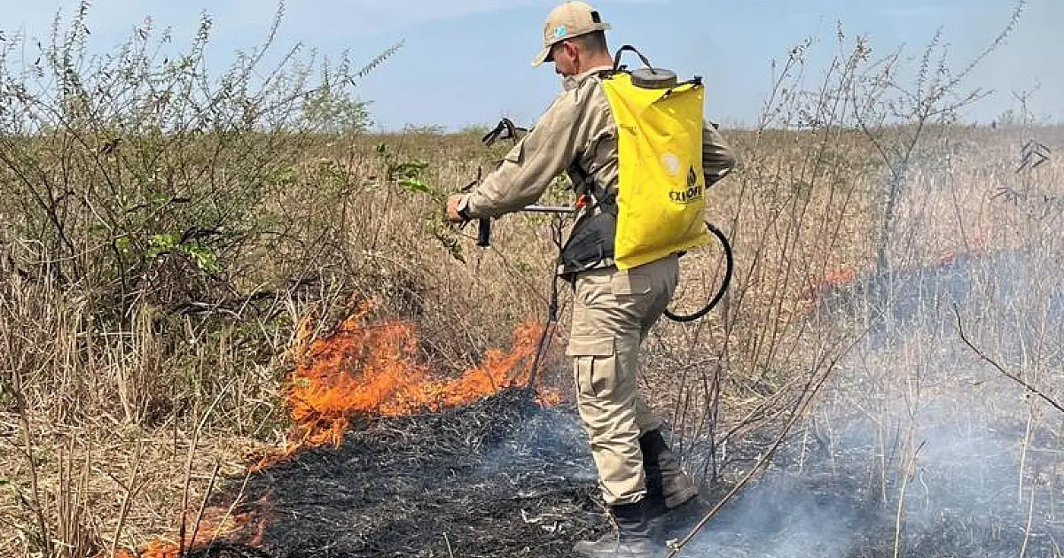 Mais de 60 militares e duas aeronaves atuam na Operação Pantanal 2022