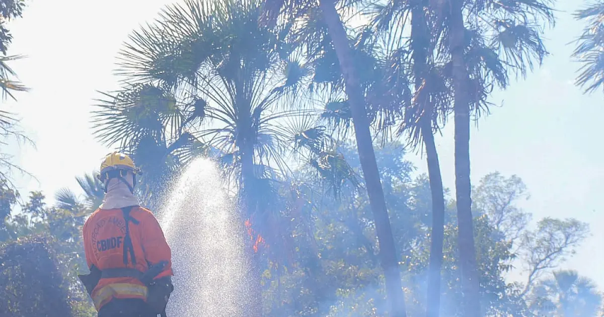 Operação recebe mais 40 bombeiros dos estados de Goiás, Paraná e São Paulo