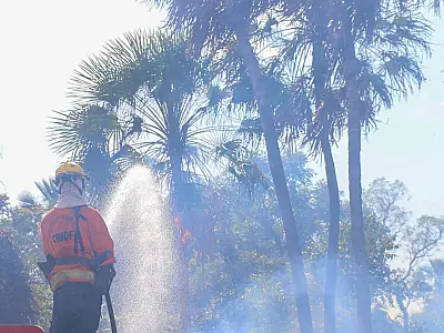 Operação recebe mais 40 bombeiros dos estados de Goiás, Paraná e São Paulo