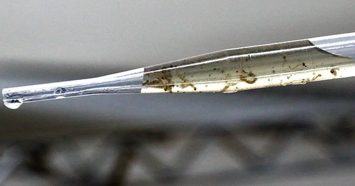 Corumbá é o segundo município de MS com maior número de casos de dengue