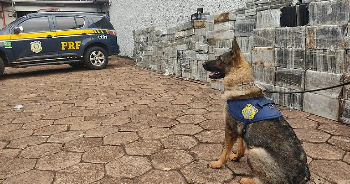 Apreensão de 1,8t de cocaína é a maior da história já realizada pela PRF