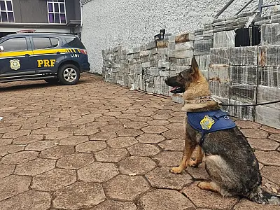 Apreensão de 1,8t de cocaína é a maior da história já realizada pela PRF