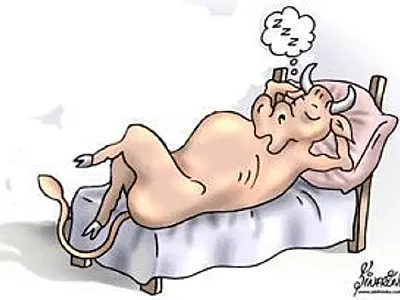Conversa para boi.............................