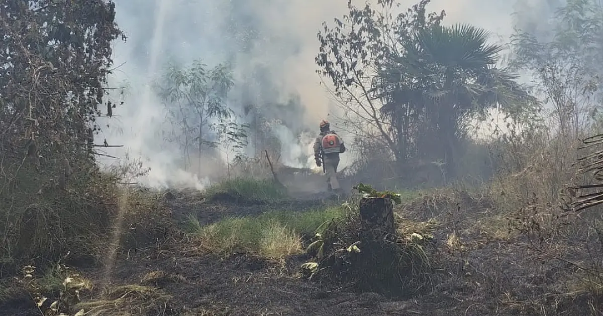 Ocupação irregular pode ter provocado incêndio que atingiu 1 hectare no Padre Ernesto Sassida
