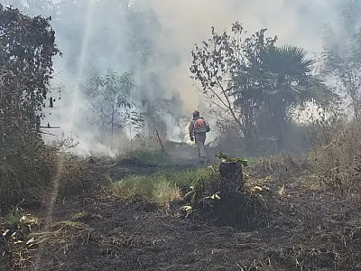 Ocupação irregular pode ter provocado incêndio que atingiu 1 hectare no Padre Ernesto Sassida