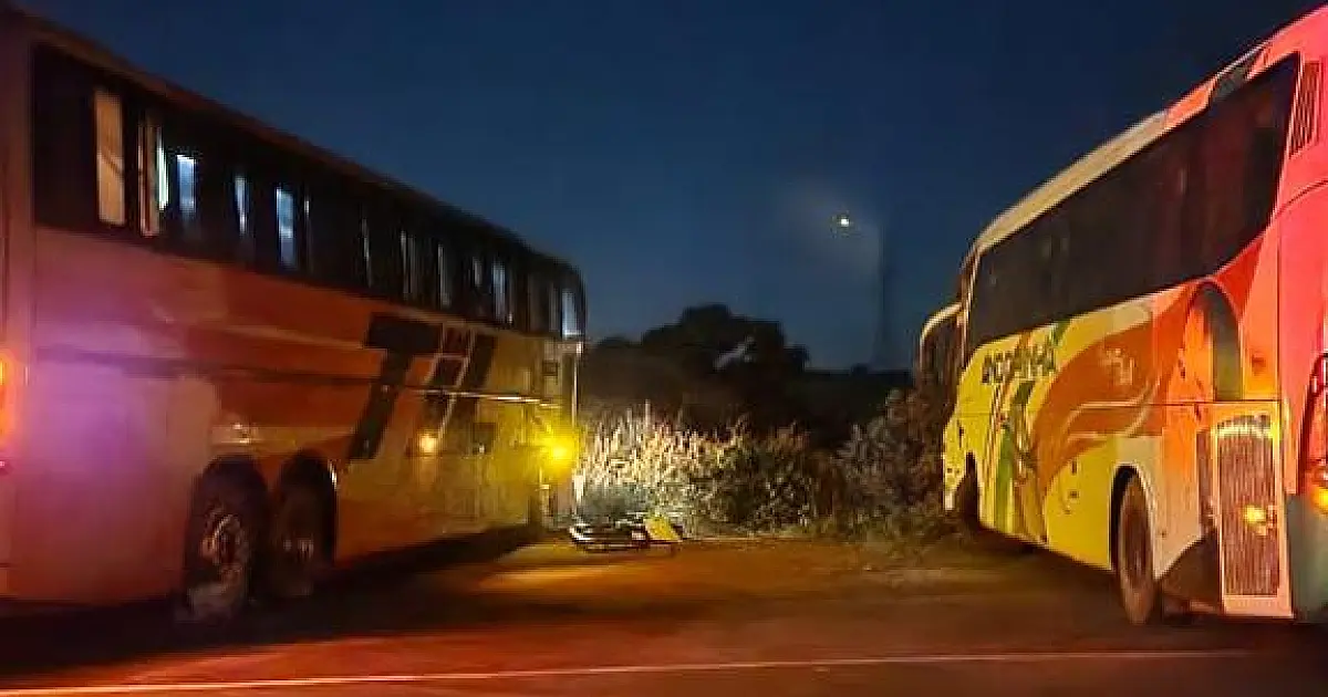 Ônibus se chocam durante conversão na BR 262