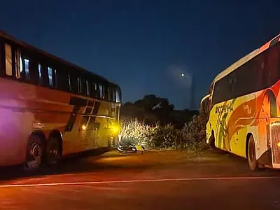 Ônibus se chocam durante conversão na BR 262