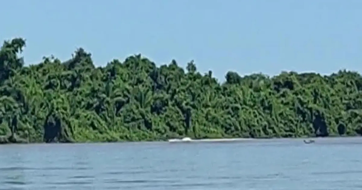 Pescador em fuga lança peixes na água para escapar de flagrante no rio Taquari