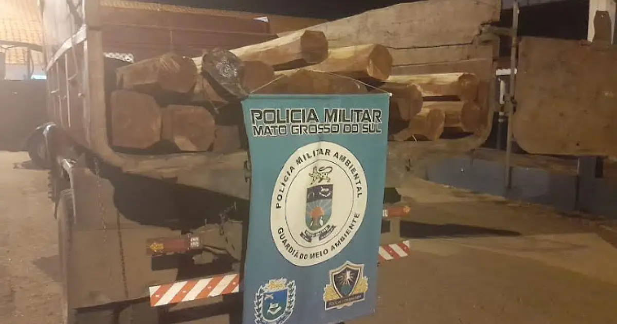 Homem é multado por transporte irregular de madeira