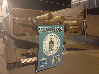 Homem é multado por transporte irregular de madeira