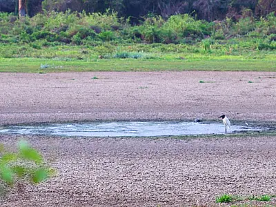 Fase neutra entre El Niño e La Niña tem relação direta com redução de chuvas no Pantanal