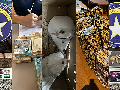 Operação conjunta combate crimes aduaneiros na faixa de fronteira com a Bolívia