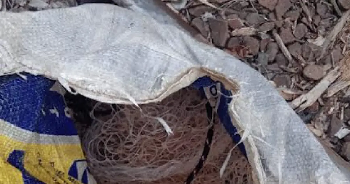 Dois pescadores são presos por uso de tarrafa durante a Piracema