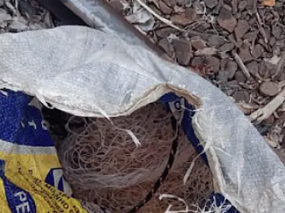 Dois pescadores são presos por uso de tarrafa durante a Piracema