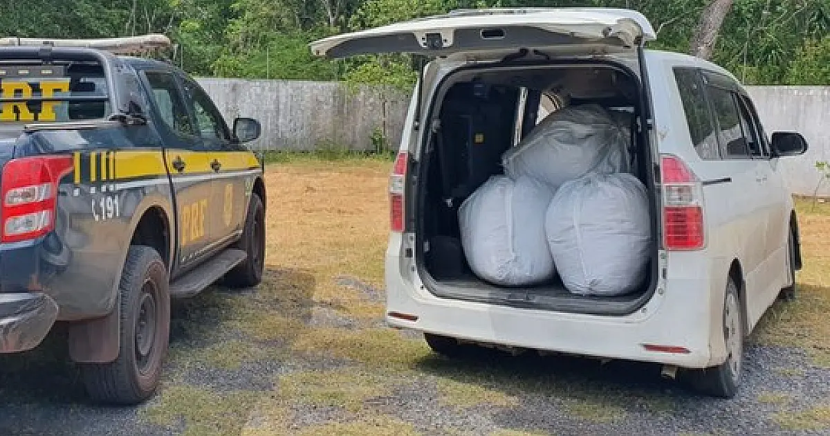Casal boliviano é flagrado com 115 kg de folha de coca na BR 262