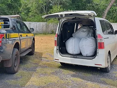 Casal boliviano é flagrado com 115 kg de folha de coca na BR 262