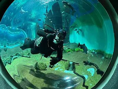 Bioparque Pantanal abrirá as portas no feriado com horário especial