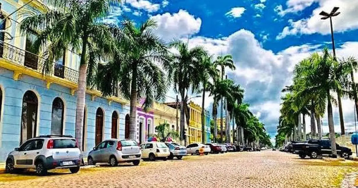Replantio de Palmeiras Imperiais na Avenida é solicitada na Câmara