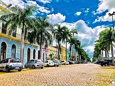 Replantio de Palmeiras Imperiais na Avenida é solicitada na Câmara