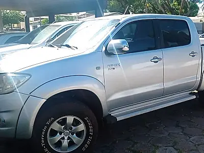 Mulher é presa após matar cachorro atropelado em Corumbá
