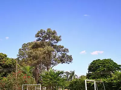 Outono será de longos períodos de estiagem e altas temperaturas em MS