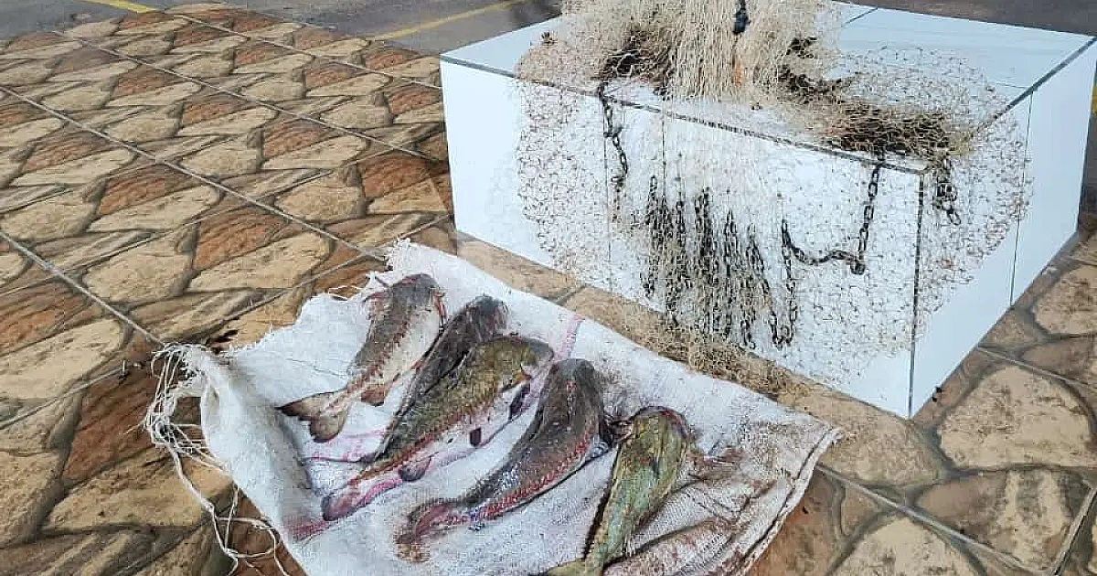 Cinco pessoas são flagradas em pesca predatória durante o fim de semana