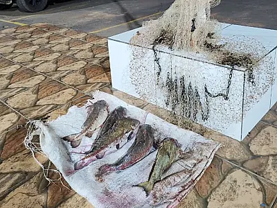 Cinco pessoas são flagradas em pesca predatória durante o fim de semana