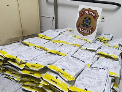 PF apreende 240 kg de agrotóxicos contrabandeados da Bolívia