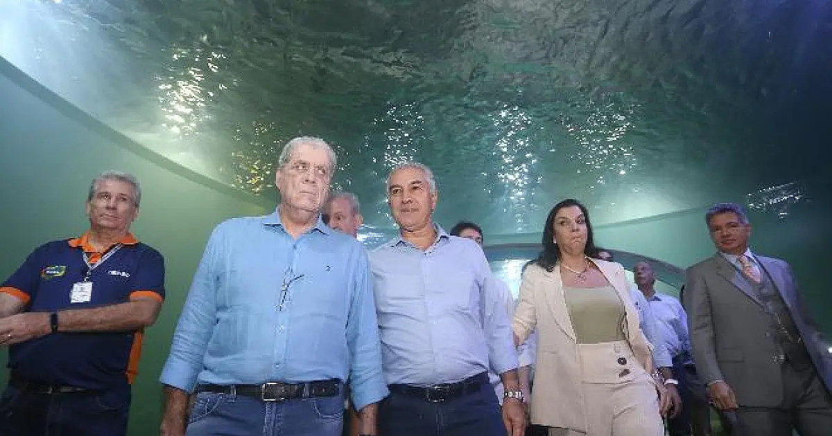 André descarta acordão para tentar eleger Riedel e reafirma candidatura ao Governo