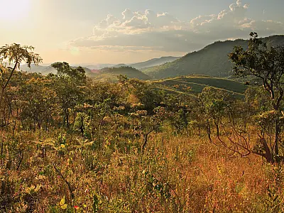 Manejo integrado do fogo é potencial aliado na redução de grandes incêndios e na proteção do Cerrado