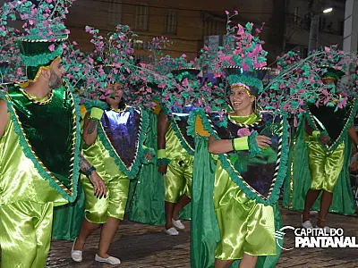 Vila Mamona transforma avenida num colorido jardim de flores