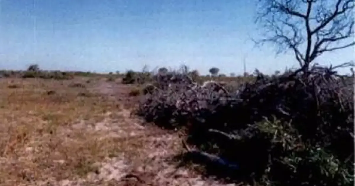 MP investiga fazenda por desmatamentos que superam 3,6 mil hectares no Pantanal