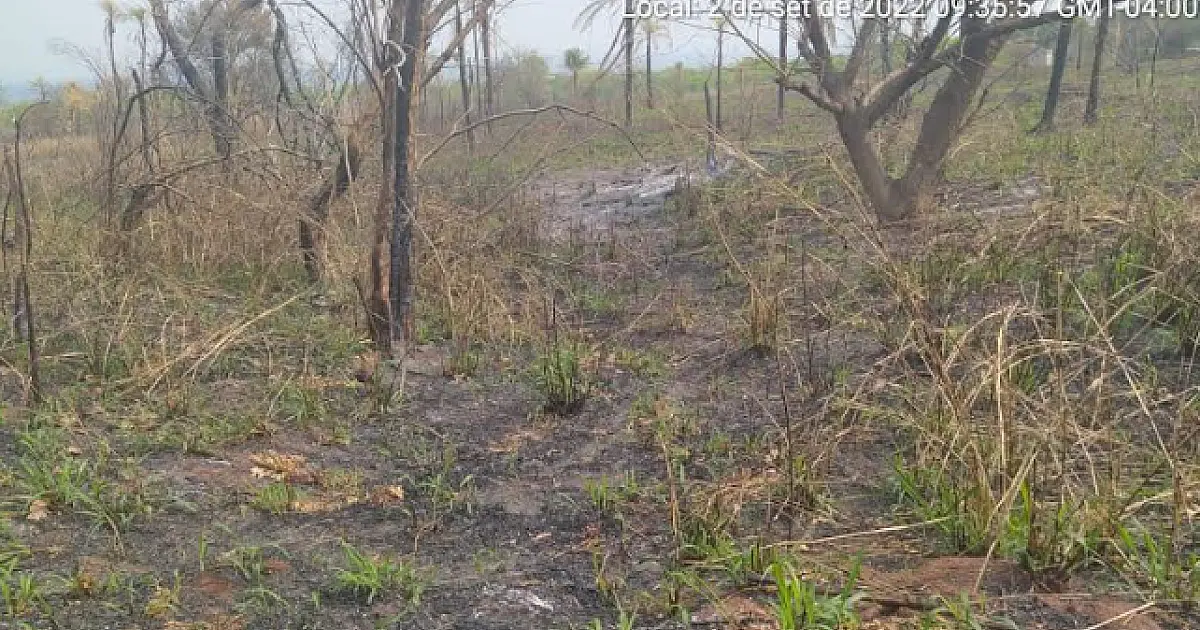 Associação multada queimar 4,5 hectares de vegetação no pantanal vai responder por crime ambiental