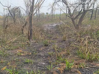 Associação multada queimar 4,5 hectares de vegetação no pantanal vai responder por crime ambiental