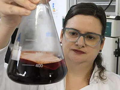 MS ocupa a 3° posição no ranking de competitividade entre os Estados