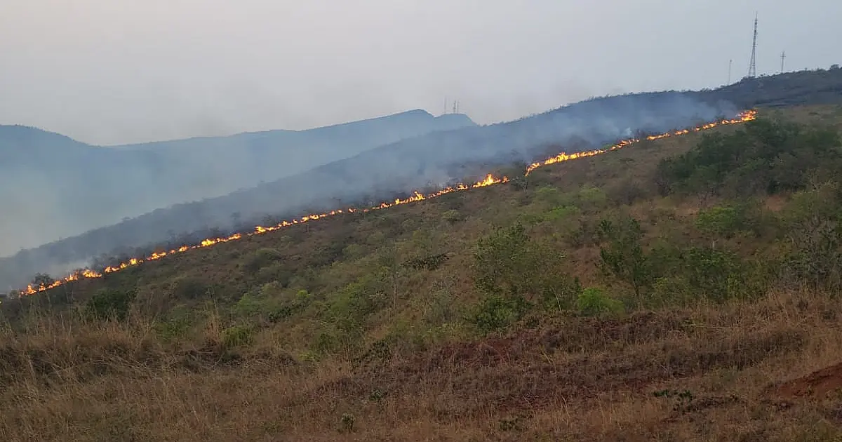 Vereadora pede ações mais enérgicas para combater as queimadas no Pantanal