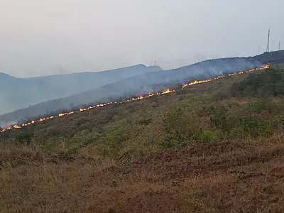 Vereadora pede ações mais enérgicas para combater as queimadas no Pantanal