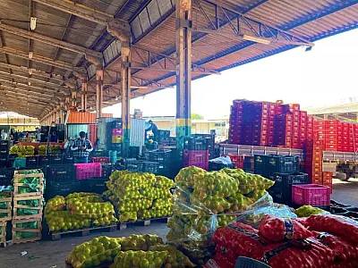 MS registra aumento de 18,78% em produtos comercializados na Ceasa