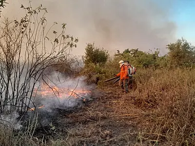 Condições climáticas elevam o número de incêndios ativos no pantanal e cerrado