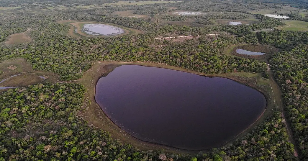 Cada vez mais seco, Pantanal pode sofrer crise hídrica histórica em 2024