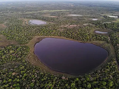 Cada vez mais seco, Pantanal pode sofrer crise hídrica histórica em 2024
