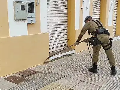 Bombeiros capturam duas serpentes em menos de uma hora em Corumbá