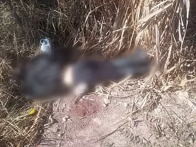 Vítima encontrada em matagal na parte alta de Corumbá é identificada