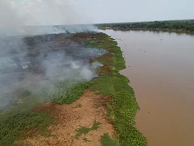 Dia do Pantanal alerta para degradação do bioma que sofre com efeitos da seca
