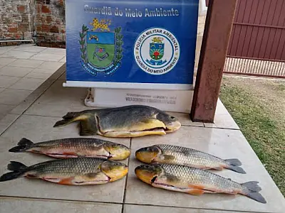 Dois pescadores são multados em R$ 1,6 mil por pesca predatória