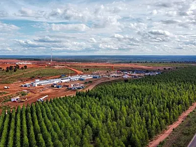 Acessos estratégicos irão impulsionar setor da celulose em MS