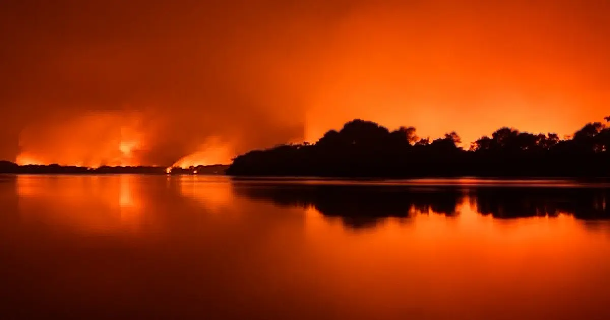 Sinfonia da Sobrevivência: documentário vai retratar as queimadas de 2020 no Pantanal