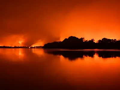 Sinfonia da Sobrevivência: documentário vai retratar as queimadas de 2020 no Pantanal
