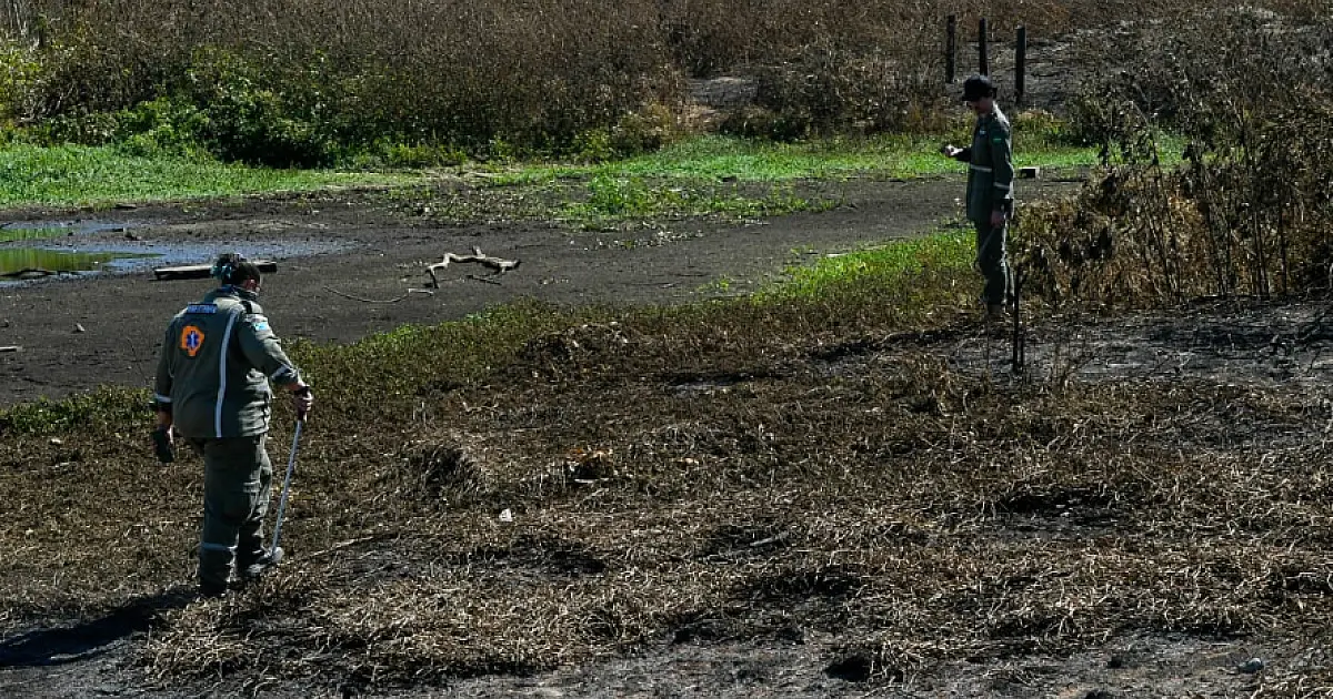 Grupo Técnico inicia trabalho de resgate à animais atingidos pelo fogo no Pantanal
